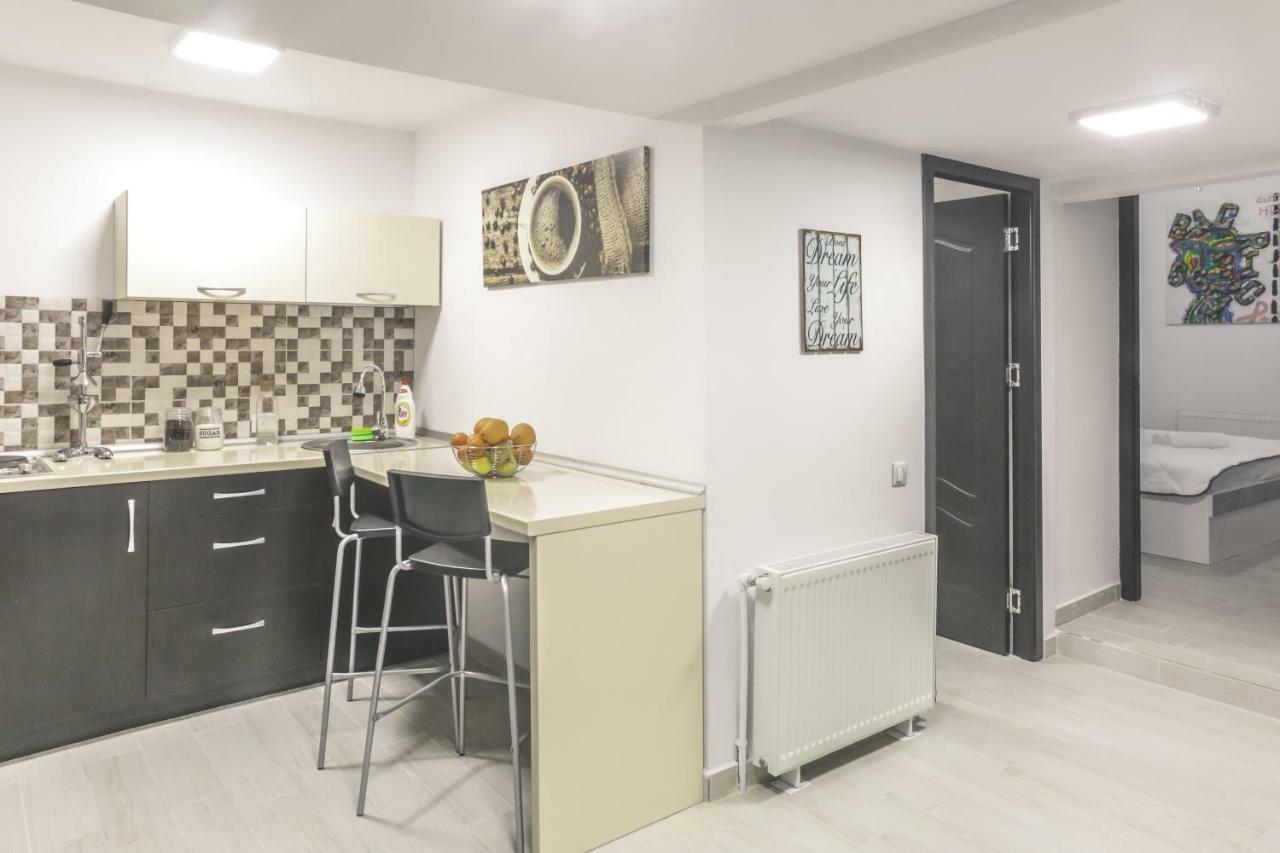 布加勒斯特Victoria Duplex Apartament公寓 外观 照片